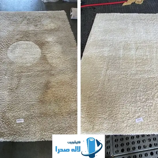 بهترین قالیشویی آبعلی