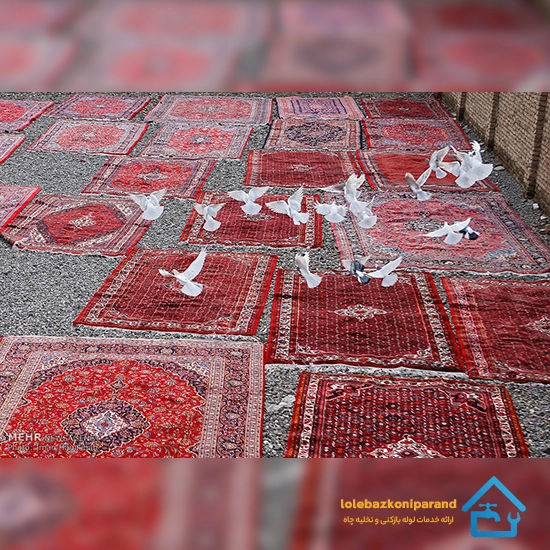 شماره تماس قالیشویی در جابان
