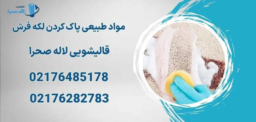 مواد طبیعی پاک کردن لکه فرش