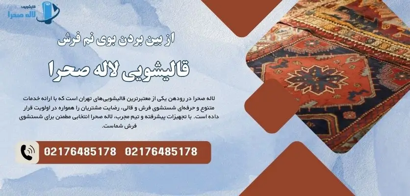 از بین بردن بوی نم فرش