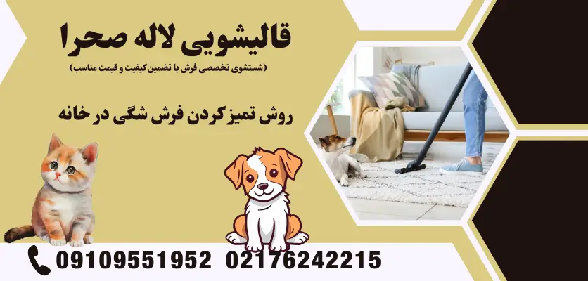 روش تمیز کردن فرش شگی در خانه