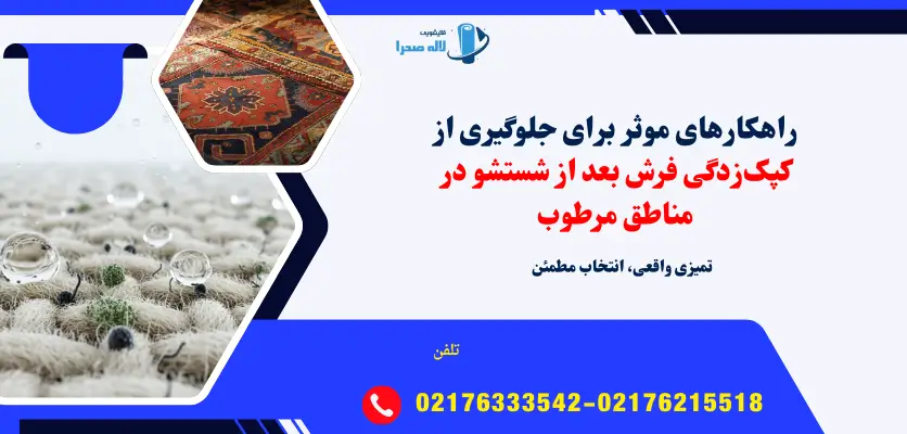 از بین بردن کپک فرش