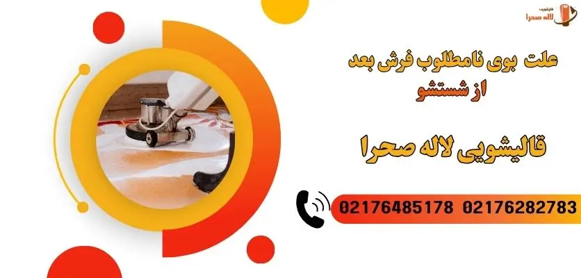 علت  بوی نامطلوب فرش بعد از شستشو