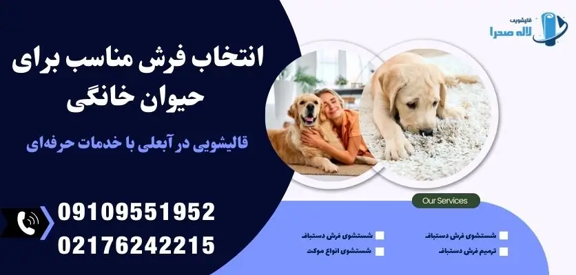 انتخاب فرش مناسب برای حیوان خانگی